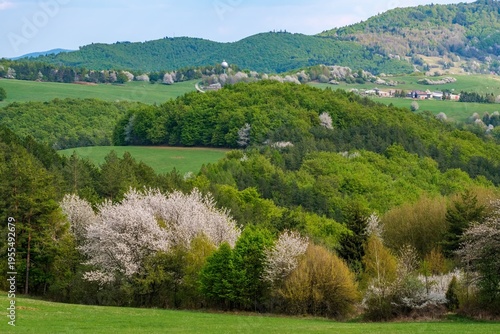 Beautiful spring landscape in rural Central Slovakia with blooming trees, fresh green hills and peaceful countryside scenery. Scenic view of traditional agricultural region in Central Europe, ideal fo