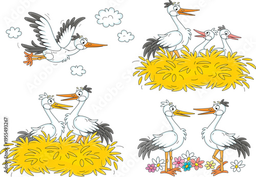 Funny white storks in their large nest, flying among clouds in the sky and chatting on a summer meadow with flowers, a set of vector cartoon illustrations on a white background