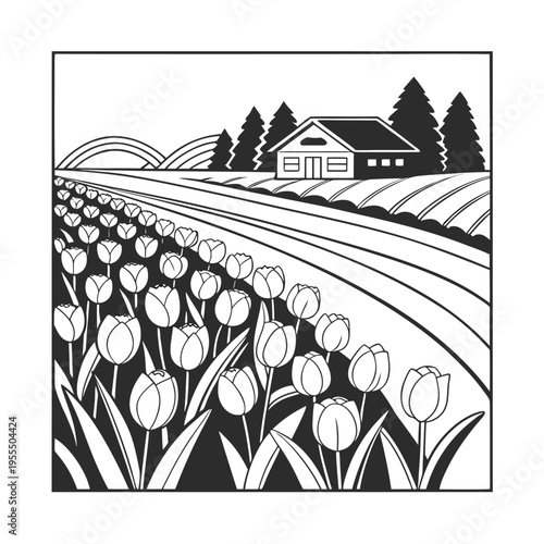 Vector illustration of tulip field with farmhouse