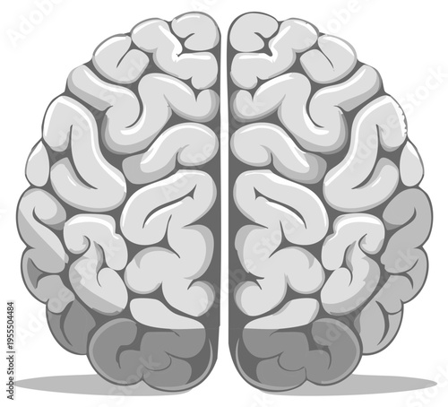Detailed human brain illustration with visible hemispheres representing thought and intellect