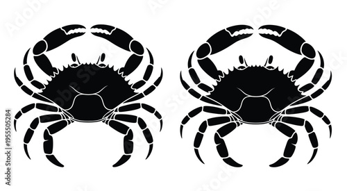 Two identical black silhouettes of crabs featuring detailed pincers and multiple walking legs isolated on white background, Vector, illustration