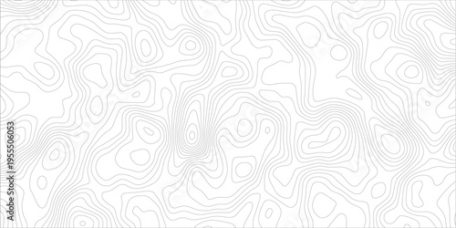 Topography background. Vector banner. Topography map background. Vector geographic contour map. Background of the topographic map. Topographic map lines, contour background.