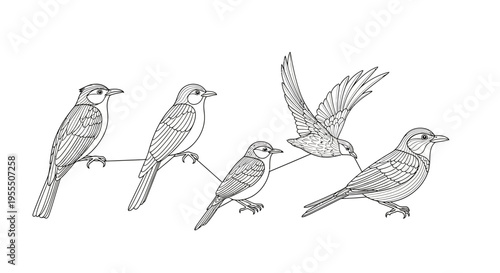 Line Art Illustration of Four Birds Sitting on a Wire with One Bird in Flight against a Plain