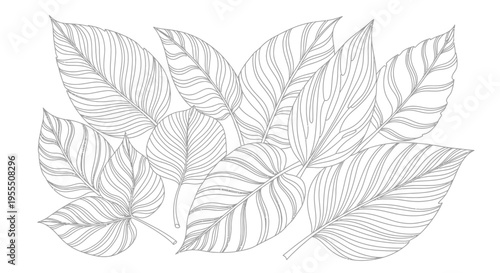 Outlined leaves arrangement with detailed vein patterns creating a natural botanical illustration