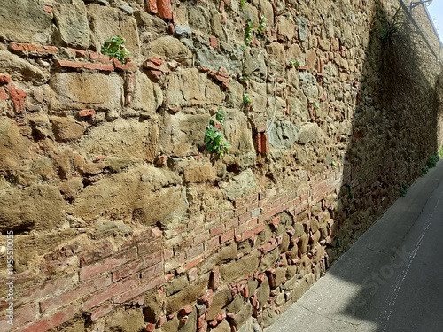 Photography old brick wall