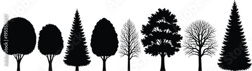 "Collection of seven black tree silhouettes arranged in a line featuring rounded deciduous, coniferous evergreens, and leafless branching forms highlighting botanical diversity and landscape design"