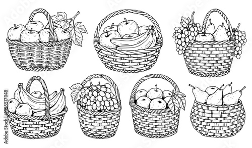 Hand Drawn Fruit Basket Collection with Apples, Grapes, Pears, and Organic Produce in Wicker Containers for Farm Market Food Vector Illustration