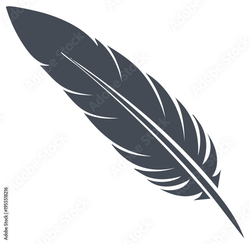Single Dark Gray Feather with Detailed Barbs and a White Quill