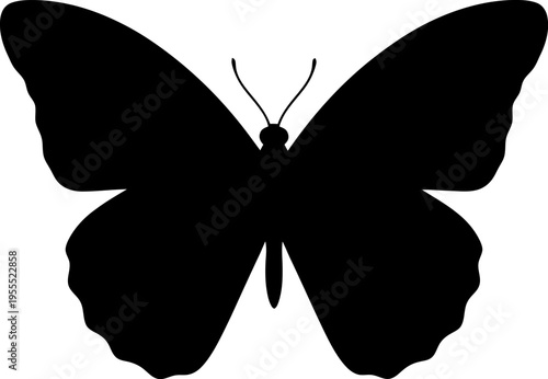 Delicate Butterfly Silhouette