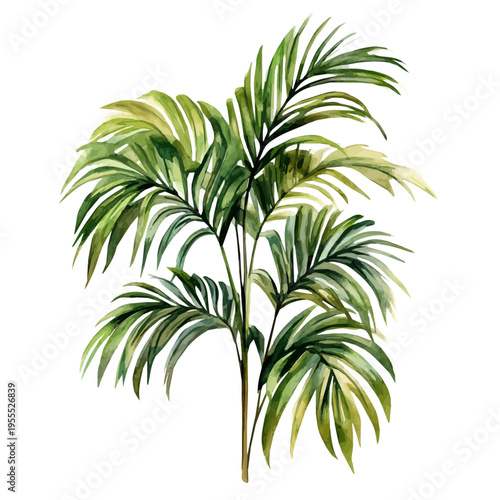 Kentia Palm High Quality, watercolor vector depicting playful antics, isolated on a white background.