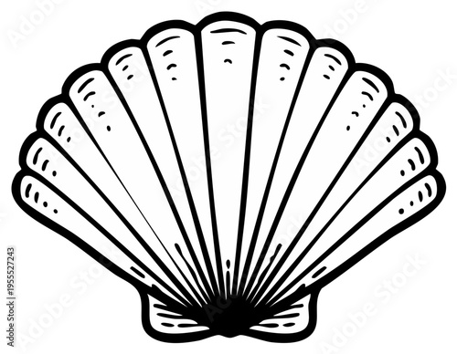 Stylized Outline of a Large Scallop Seashell