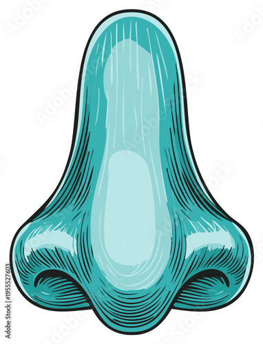 Human Nose Illustration, Teal Tone Anatomical Vector, Engraved Style Detail