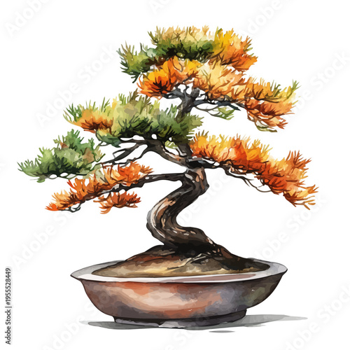 Japanese Larch Bonsai, watercolor clipart showing delicate textures and whimsical forms, isolated on a white background.