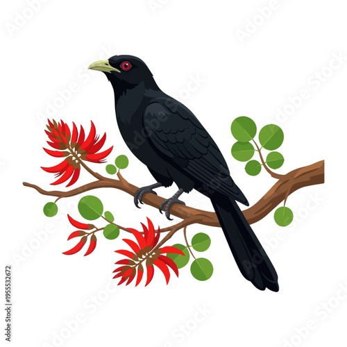 Asian Koel bird on Erabadu Branch ( Koha Bird) vector illustration for Sinhala and Tamil New Year celebration