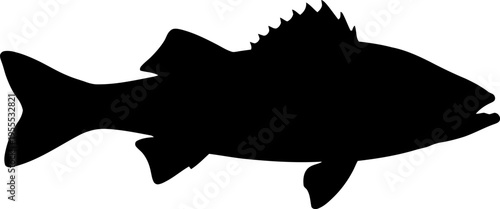 Seabass Silhouette Icon