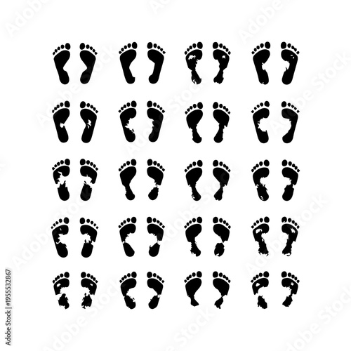 footprints vector set
Vector set of isolated images on a white background