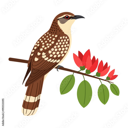 Asian Koel bird on Erabadu Branch (Koha Bird) vector illustration for Sinhala and Tamil New Year with red flowers and green leaves, symbolizing festive season