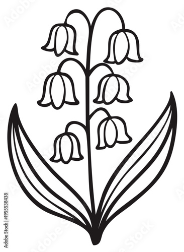 Outline of Lily of the Valley Plant with Bell Shaped Flowers and Green Leaves