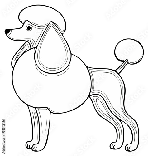 Stylized outline drawing of a standing poodle with a pouf hairstyle and tail