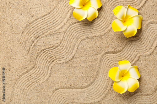 Plumeria flowers on beige s...