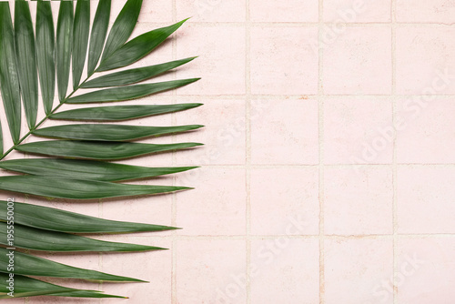 Tropical leaf on pink tile ...