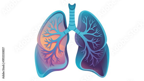 Stylized illustration of human lungs with bronchial tree structure
