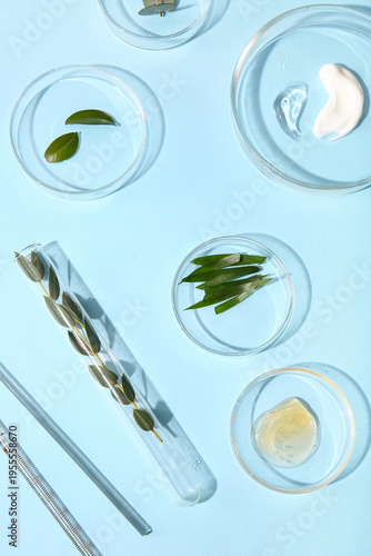 Petri dishes with samples o...