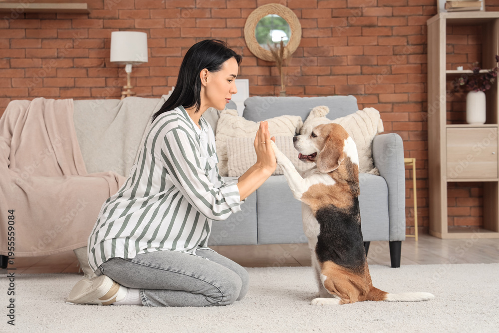Ταπετσαρία Pretty young woman training her cute Beagle dog at home
