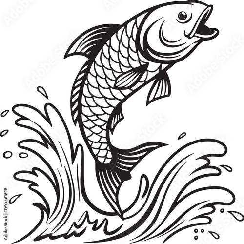 black and white fish