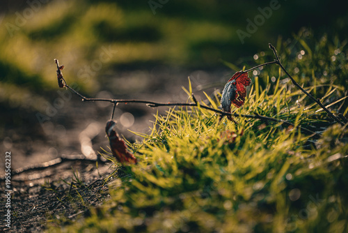 Spring background, nature coming to life