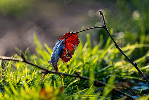 Spring background, nature coming to life
