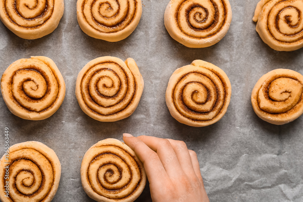 Fototapeta premium Woman putting uncooked cinnamon rolls on baking dish