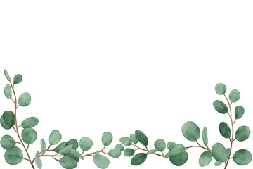 Eucalyptus leaves watercolor border composition. Botanical greenery framing a transparent background, design element