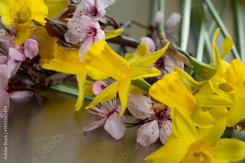 fleurs du jardin au printemps