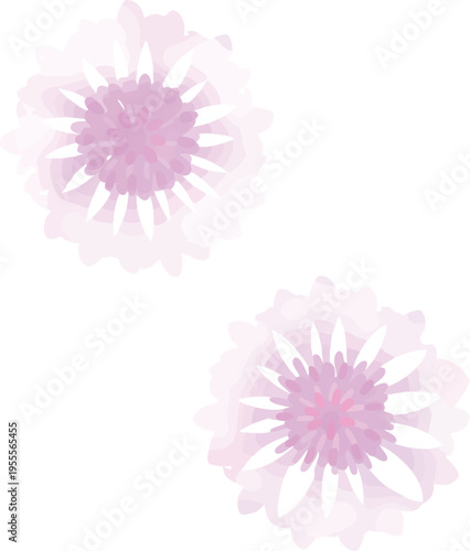 白とピンクの矢車菊フラットベクターイラストセット｜やさしい春夏の花素材