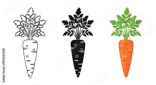 Three stylized carrot icons in black and white and color on a clean white background with green leaves.