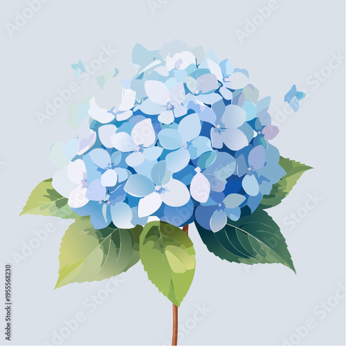 Hellblaue Hortensie