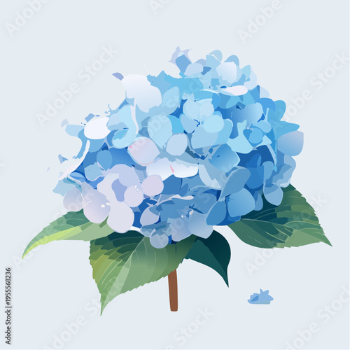 Hellblaue Hortensie