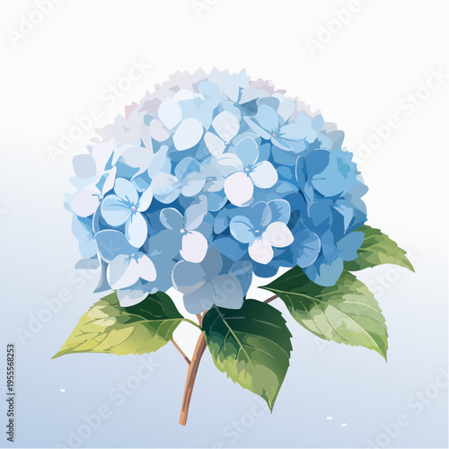 Hellblaue Hortensie
