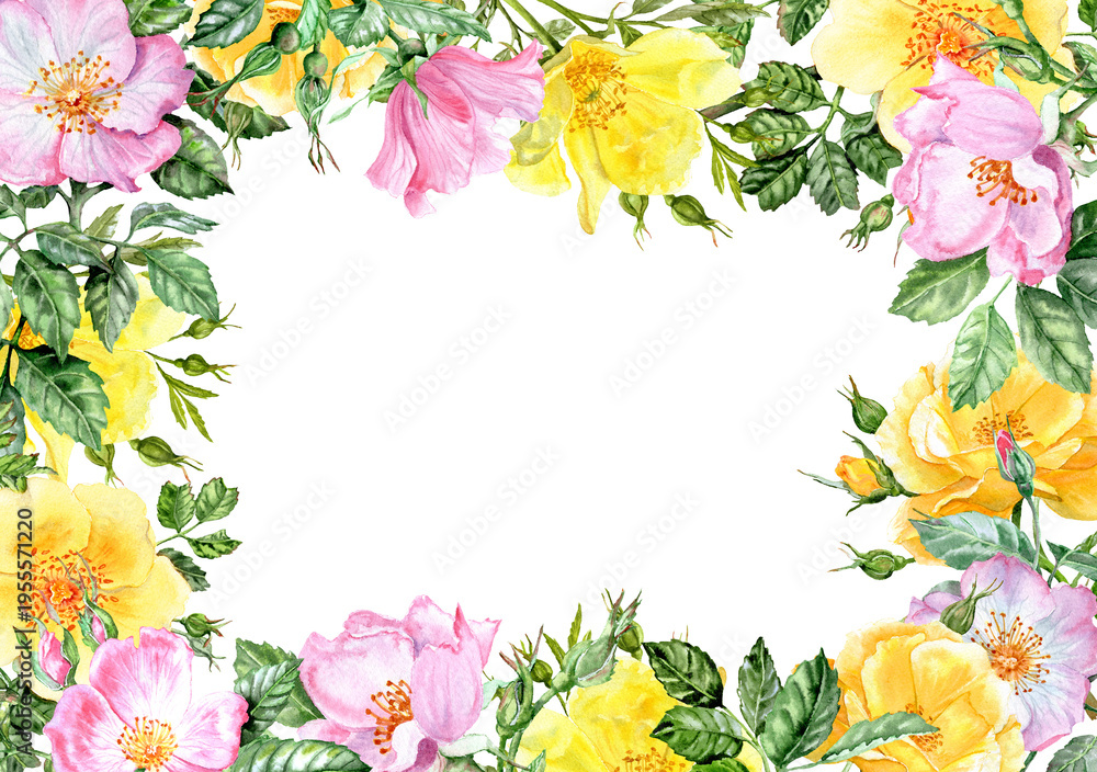 Fototapeta premium Horizontal rectangular frame with rosehip yellow and pink flowers