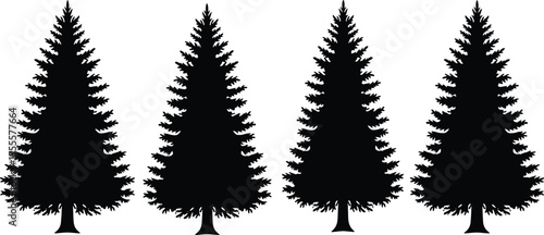 Set of four black vector pine tree silhouettes including spruce and fir isolated on white background for christmas forest design.
