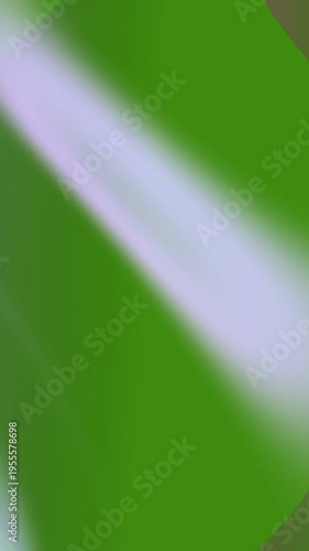 Blurry Green Background Motion.