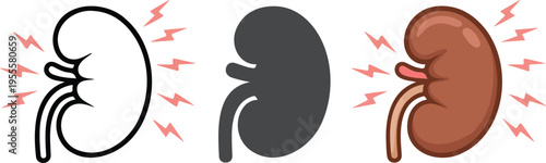 Set of three minimalist human kidney icons in outline and detailed anatomical styles for urology health medical education and renal system research concepts isolated on white background.