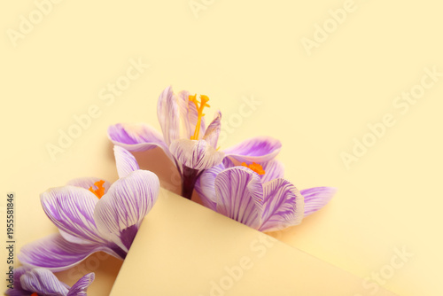 Beautiful Saffron flowers o...