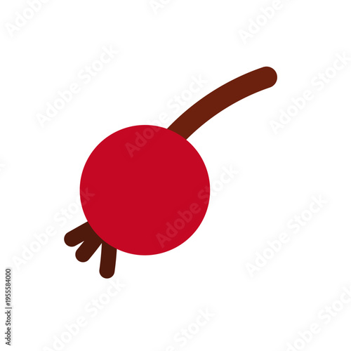 Red currant berry with stem