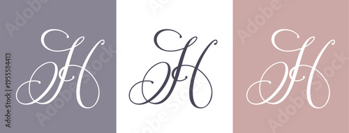 Elegant G letter logo monogram in luxury style with flowing calligraphy lines, premium branding template for boutique, beauty salon and wedding business