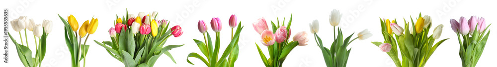 Fototapeta premium Set of beautiful bouquets of fresh tulips on white background