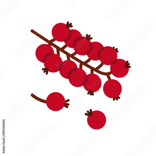 Red currants berry on branch