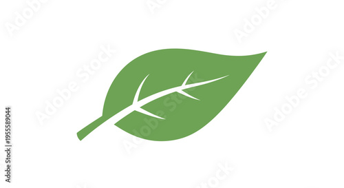 Simple Green Leaf Illustration Representing Nature, Ecology, and Environmental Themes