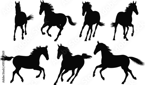 Black silhouette illustrations of horses running, trotting, and galloping in dynamic poses, equestrian animal motion design set for nature and art projects